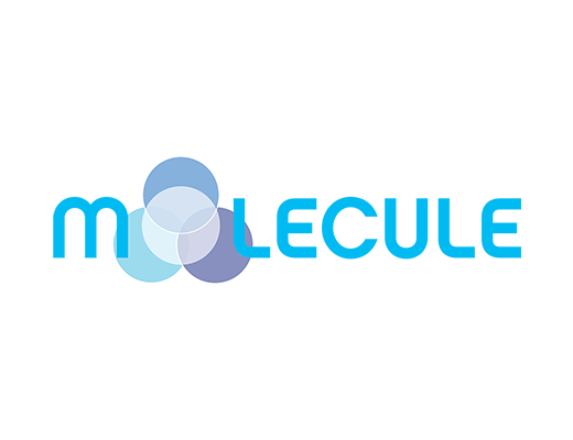 Molecule Project logo Atanu Das Remote IT Consultant