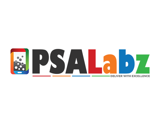 PSA Labz Digitally Atanu Remote IT Consultant